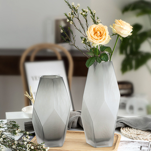 轻奢北欧简约磨砂玻璃花瓶水养鲜花干花客厅插花摆件创意几何花瓶