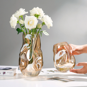 高级感花瓶轻奢摆件玻璃透明水培插花鲜花异形设计感小众客厅装饰