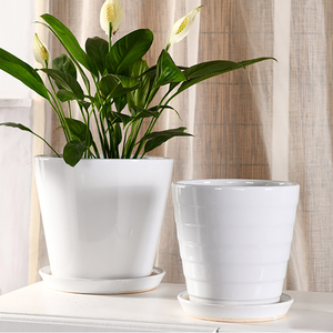 白色简约花盆陶瓷绿萝白掌透气创意大号特大号绿植陶瓷盆特价清仓