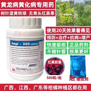 泰国原装进口红黑胶囊黄龙病专用药柑橘脐橙盐酸四环素打针输液