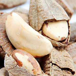 新货沙漠果新疆特产鲍鱼果戈壁果500g包邮炒货坚果零食送开口器