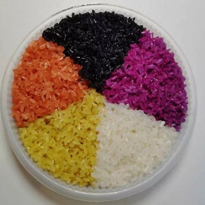 广西壮乡特产五色糯米饭植物染色健康500g彩色糯米饭加热即食真空