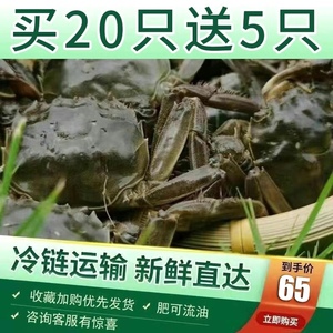 【六月黄】25只装三元蟹鲜活大闸蟹小螃蟹河蟹毛蟹香辣蟹