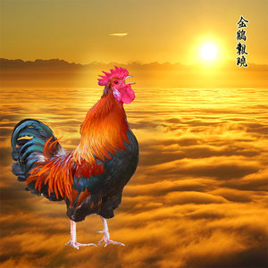 金鸡报晓贴画自粘画墙贴装饰画雄鸡招财风水画镇宅富贵吉祥30人付款