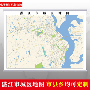 电子版 赤坎霞山坡头麻章 遂溪县徐闻县 廉江市雷州市吴川市 地图