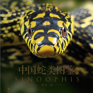中国蛇类图鉴自然教育儿童课外读物科普书籍动物百科爬宠国蛇蟒蛇