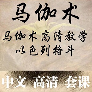 以色列马伽术