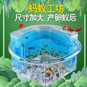 蚂蚁城堡送蚁后沙土切叶蚁沙子蚁窝别墅农场宫殿可选高双层超大号