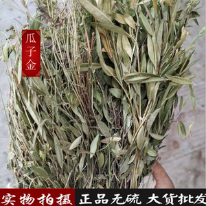 中草药金锁匙