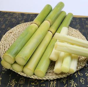 四川白甘蔗