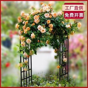 蔷薇花架子