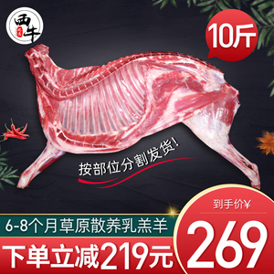 羊肉新鲜半只羊10斤生羊肉手抓羊肉羊后腿羊排羊蝎子火锅年货礼盒