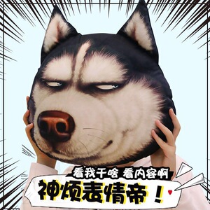 搞怪恶搞沙雕生日礼物送男友男生女友创意抱枕新年走心创意礼物