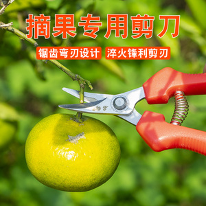 摘果剪刀摘橘子的剪刀水果专用修剪葡萄摘石榴梨工具采摘收果剪疏