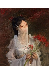 《一色》古风面纱 古装仙侠女面帘 汉服凤冠宫廷米珠流苏遮脸蒙面