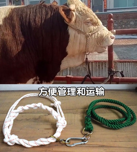 拴牛龙头牛笼头套牵牛绳子小牛犊飞机网绳编制牛缰绳养牛场用设备