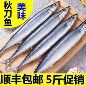 【5斤新鲜深海秋刀鱼】冷冻鲜秋刀鱼海鲜烧烤整箱食材海鱼水产