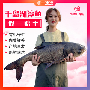 官方正宗千岛湖淳牌有机鱼鳙鱼原生态胖头鱼鲜活包头鱼大头鱼鲢鱼