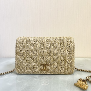 啊古着/二手/chanel香奈儿限量猫头鹰草编woc链条包尺寸19×12rq