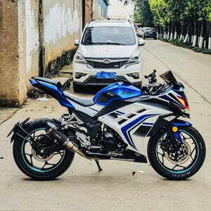 二手宝雕双r 250cc小忍者地平线双缸水冷400重型机车北极光摩托车