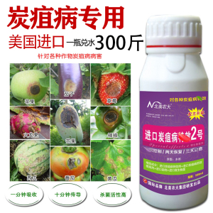 进口炭疽病杀菌剂柑橘番茄黄瓜葡萄苹果西瓜辣椒草莓炭疽病专用药