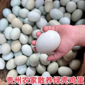 贵州农家林下散养绿壳鸡蛋五谷虫草鸡蛋新鲜现发孕妇蛋初生蛋包邮