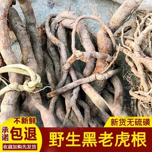 老虎藤药用价值图片