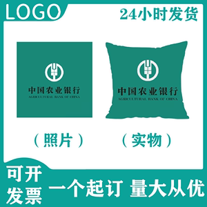 抱枕diy定制靠枕可印照片logo来图定做抱枕套肖战抱枕枕头芯订做