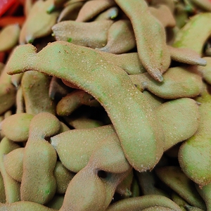 云南嫩酸角生吃凉拌新鲜酸豆角应季特产罗望子酸鱼汤原料生酸角