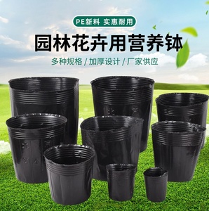 营养钵育苗杯加厚营养杯黑色塑料一次性大号种植穴盆营养袋育苗袋