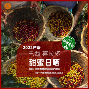金粽60kg喜拉多甜蜜日晒咖啡豆生豆可拼配巴西原装进口2023产季