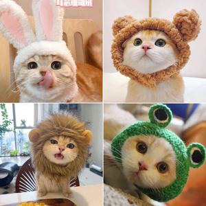 小熊兔子宠物帽子头套毛绒可爱猫头饰小狗狗头套拍照变装猫猫帽子
