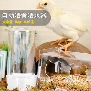 芦丁鸡食盒亚克力喂食器芦丁鸡鹌鹑饮水器透明大容量食盒育雏用品