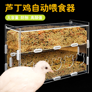 芦丁鸡食盒亚克力喂食器食盒芦丁鸡鹌鹑饮水器透明大容量育雏用品