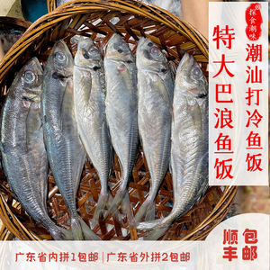 鱼饭潮汕