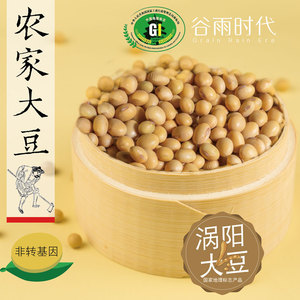 安徽特产涡阳黄豆打豆浆专用发豆芽新鲜非转基因涡阳大豆5斤新豆