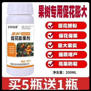 果树专用坐果膨大素枇杷樱桃荔枝杏桃李子授粉药剂保花保果座果灵