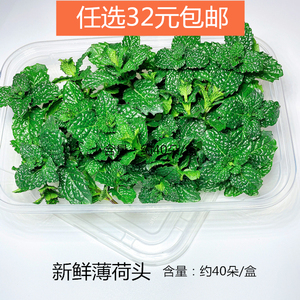 新鲜薄荷叶头40朵/盒 可食用奶茶调酒料香料酒店西餐摆盘装饰点缀