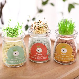 水培盆栽心形幸运草负离子绿植办公室桌面小盆景防辐射迷你小植物