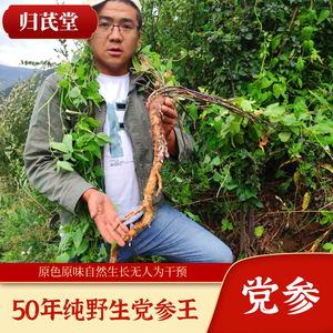 野山采挖50年生长野生老党参纯野生党参王特级无硫新货500克包邮