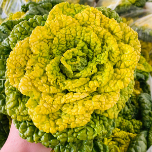 80253人付款天猫新鲜黄心菜农家黄心乌塌菜花心菜黑白菜
