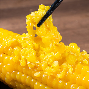 东北粘玉米棒甜吉林