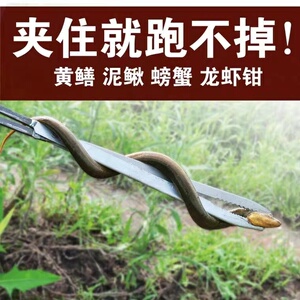 升级版不锈钢黄鳝夹鳝鱼夹黄鳝夹子加长加厚夹泥鳅省力钳子带锁扣