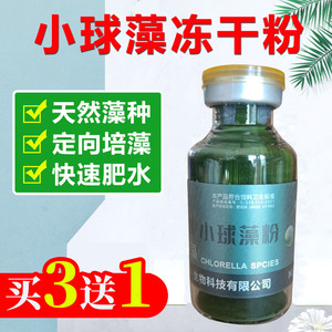 小球藻种源水产养殖氨基酸肥水膏小球藻硅藻种鱼塘肥水培藻