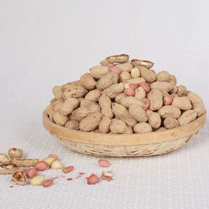 炒花生农家原味带壳散装炒熟小籽零食河南正阳特产小白沙铁锅沙炒