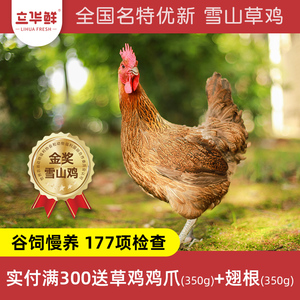 立华鲜 雪山鸡s168雪山草母鸡谷物农养整只鸡煲汤白切鸡1kg