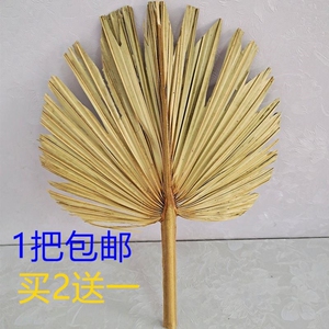 扇子芭蕉扇老蒲扇葵扇济公手工老式蒲叶扇夏季棕叶圆草扇大小蒲扇