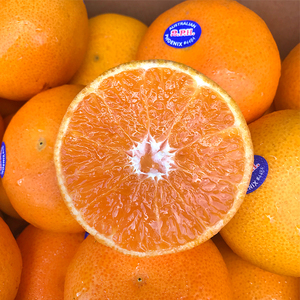 现货澳大利亚澳橘2ph澳桔进口澳柑新鲜孕妇水果三室而已同款