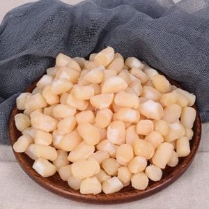 干贝瑶柱野生批发