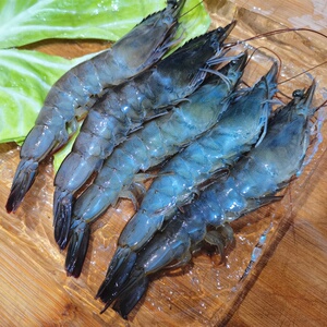 青岛野生基围虾